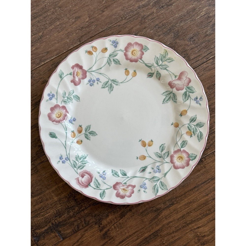 Vtg Churchill Staffordshire Briar Rose‎ Ironstone Floral One 10" Dinner Plate